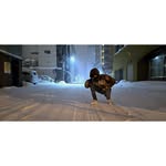 Nick Wilhelmi - @nick_wilhelmi - Instagram
