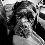 Nickwillers - @nickwillers2 - Instagram
