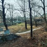 Nick Willson - @nick__willson - Instagram
