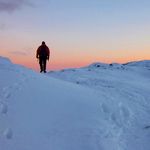 Nick Willson - @nicky.willson - Instagram