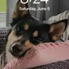 Nick Willborn - @nickwillborn - TikTok