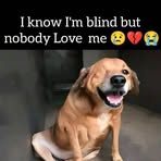 Wilborn Nick - Facebook
