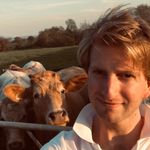 Nicholas Wingfield Digby - @nick_wingding - Instagram