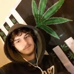Nick Wingate - @nick.wingate.5076 - Instagram