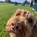 Nic Winstanley - Facebook