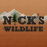 Nick Wirth - @nickswildlife - Instagram