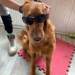 nick wirth - @nick._.wirth - Instagram