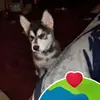 nick - @nickwitt63 - TikTok