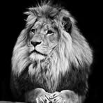 Nicholas Witthoft - Facebook