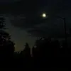 Nick_wizzle - @nick_wizzle - TikTok