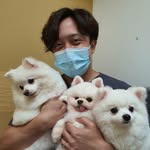 Nick Woo - @unclenickvet - Instagram