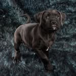 Nick Julia Workman - @nick.workman.16 - Instagram