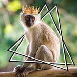 nick - @nick_wortmann - Instagram