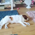 Nick Wyatt - Facebook