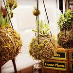 Nick Wygant - @nick_liquidirt - Instagram