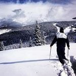 Nick Wyman - @nickwyman - Instagram