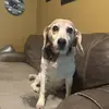 improbablynick - @nickyaeger2210 - TikTok