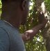 Nicholas Yankey - Facebook