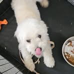 Nick Yee - Facebook
