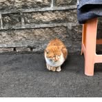 Nick Yi - Facebook
