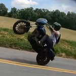 Nick Zell - @nick_zell - Instagram