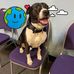 Nick Zito - Facebook