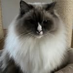Nicki Bauer - @djblackangel31 - Instagram