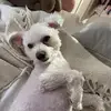 Nicki Bennett - @nickibennett1 - TikTok