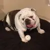 Nicki Bennett - @nicki.bennett80 - TikTok