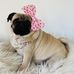 Nicki Fuller - Facebook