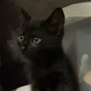 Nikki Fuller - @nikki.fuller75 - TikTok
