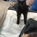 Nikki Fuller - Facebook