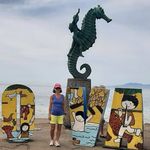 Nicki Johnston - @nickilpj.66 - Instagram