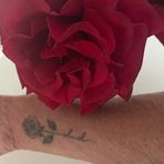 Nicki Mackay - Facebook