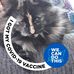 Nicki Schultz - Facebook