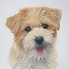 Nicki Spencer - @nixportraits - TikTok