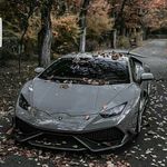@nicki_stevenson_ - Instagram