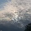 Nicholas Andrews - @nicholasandrews0 - TikTok