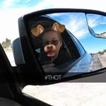 Nickolas Flores Foster - @nicknzkidkiwi07 - Instagram