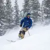 Nicholas Lambert - @nicholaslambert3 - TikTok
