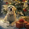 Nicky Campbell - @nicky.campbell98 - TikTok