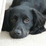 Nicky Hall - @nicky.hall.1023 - Instagram