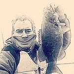 Nick Lester - @nick.lester - Instagram
