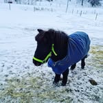 Fritzy - @nickylinnpinn - Instagram