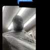 Nikki Phillips - @nikkip266773 - TikTok