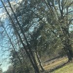 Nicky Richards - @itz_nickyyyy321 - Instagram