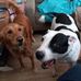 Nicky Shaw - Facebook