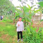 nicky shaw - @laksamanamaeda087 - Instagram