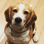 Nic - @nickythomson - Instagram