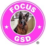 Nicky Walker - @focusandpoppyandbear - Instagram